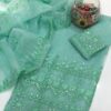 Green Khaddi Net Embroidered 2-Piece Dress with Sleeves